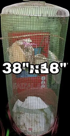 2birds with 2cages
