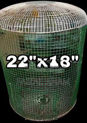 2birds with 2cages