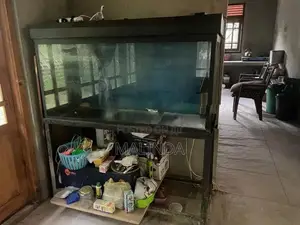 4ft with 5ft fish tank