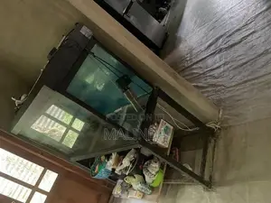 4ft with 5ft fish tank