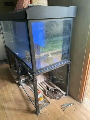4ft with 5ft fish tank