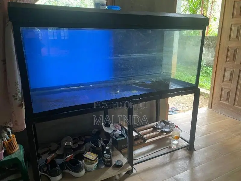 4ft with 5ft fish tank