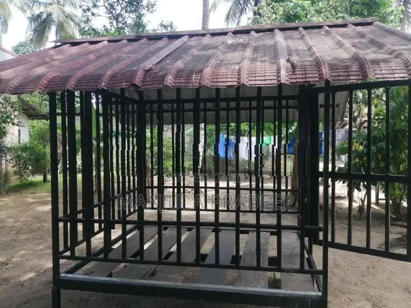 Outdoor Dog Cage