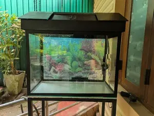 Fish Tank 2 Feet