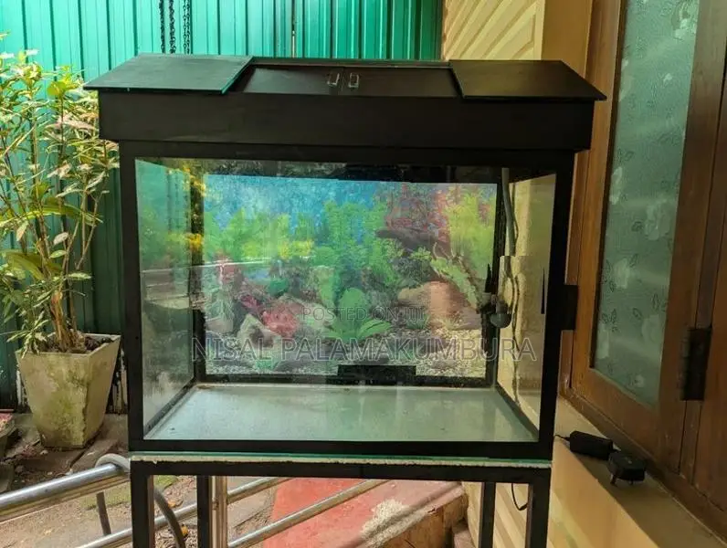 Fish Tank 2 Feet