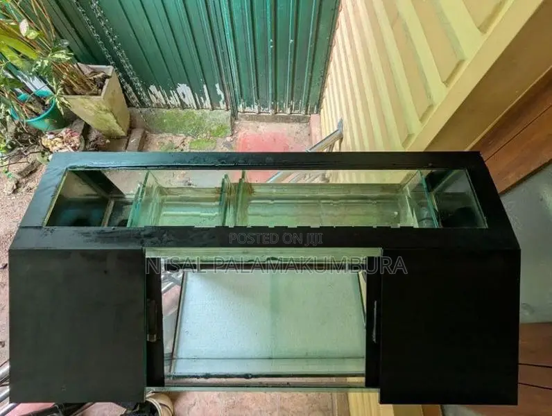 Fish Tank 2 Feet