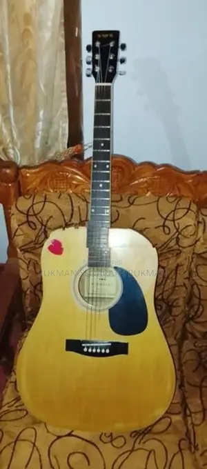 Guitar