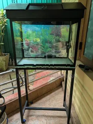 Fish Tank 2 Feet