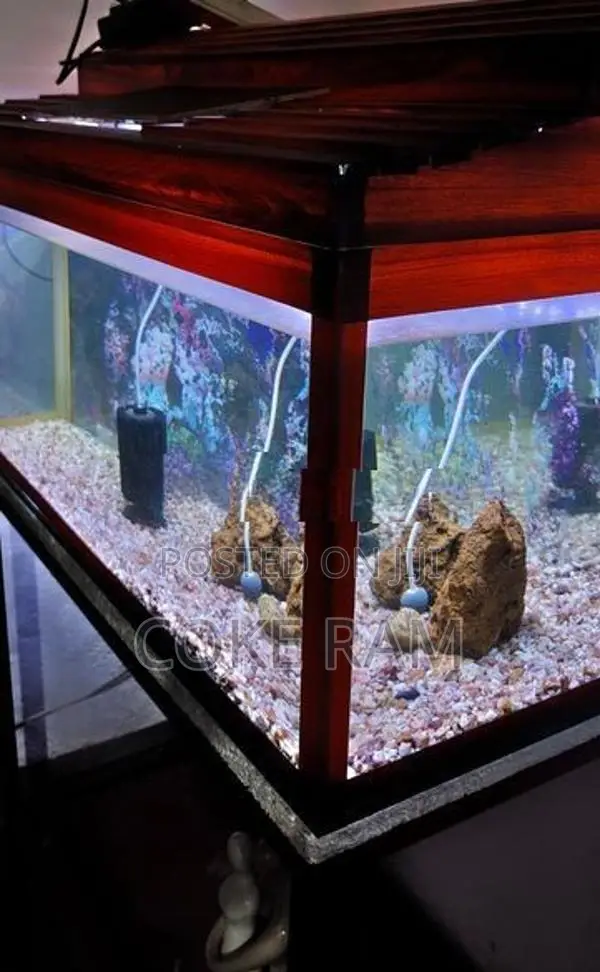 Fish Tank