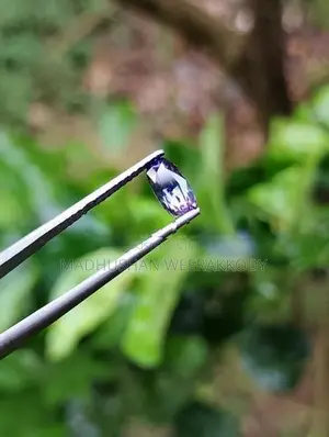 Gem Stones