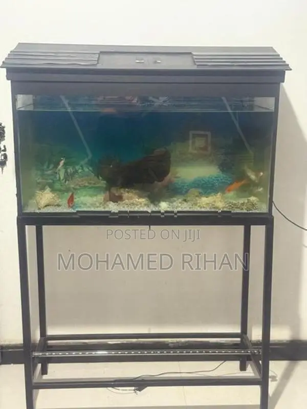 Fish Tank