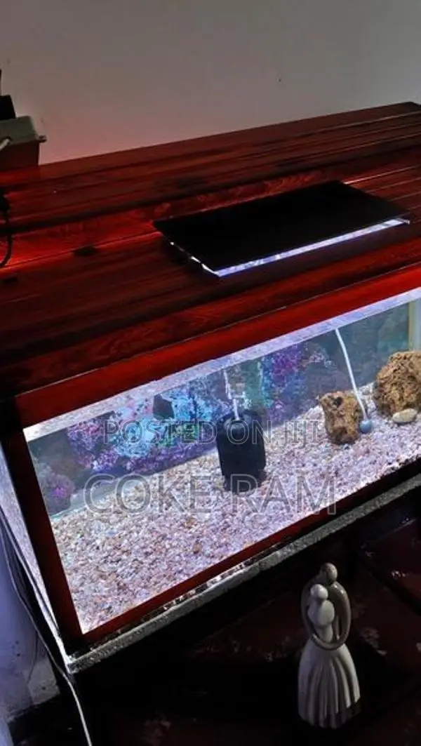 Fish Tank