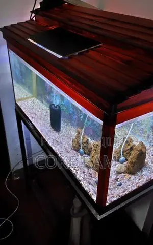 Fish Tank