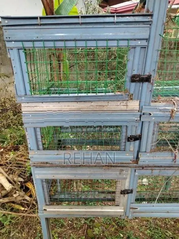 Chicken Cage