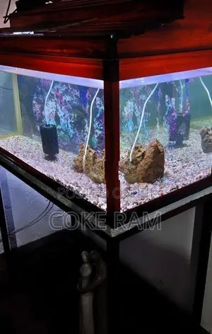 Fish Tank