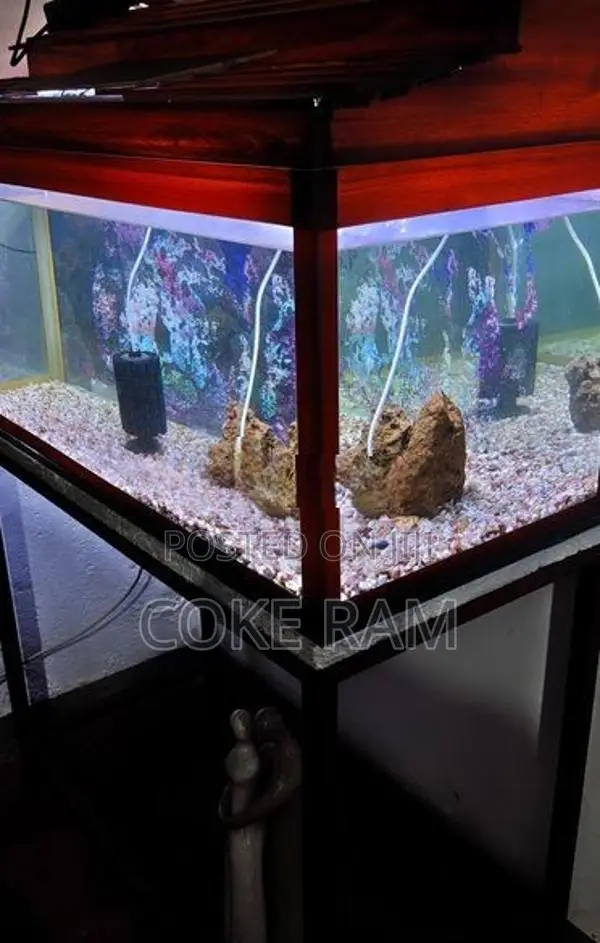 Fish Tank