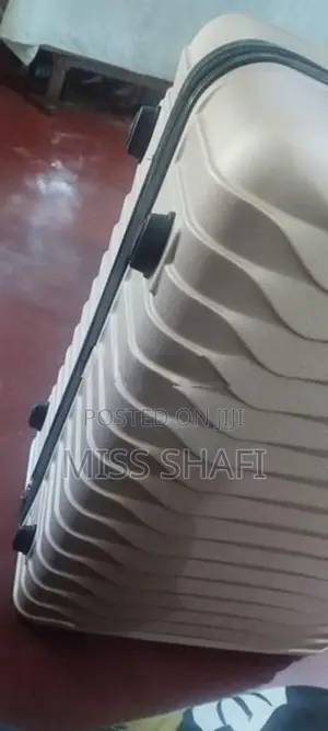 30kg Luggage