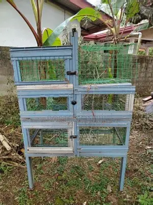 Chicken Cage