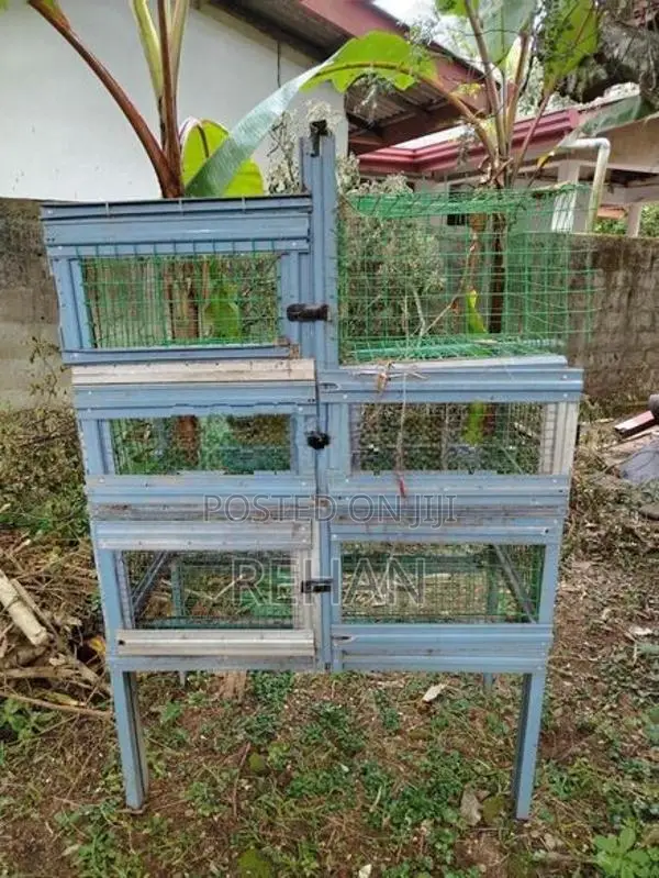 Chicken Cage
