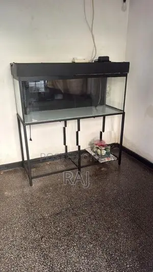 4ft Aquarium Setup