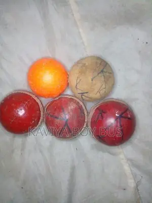 Cricket Leather Ball