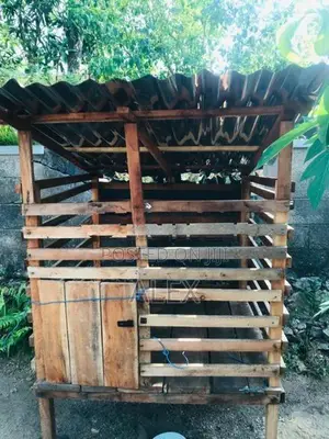 Dog Cage