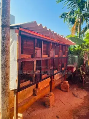 Pigeon Cage