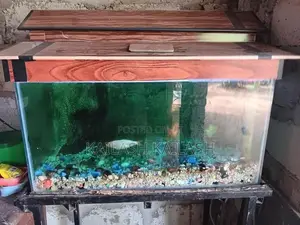 Fish Tank