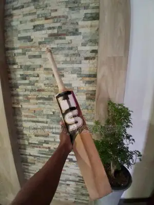HS T20 Bat