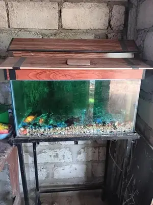 Fish Tank