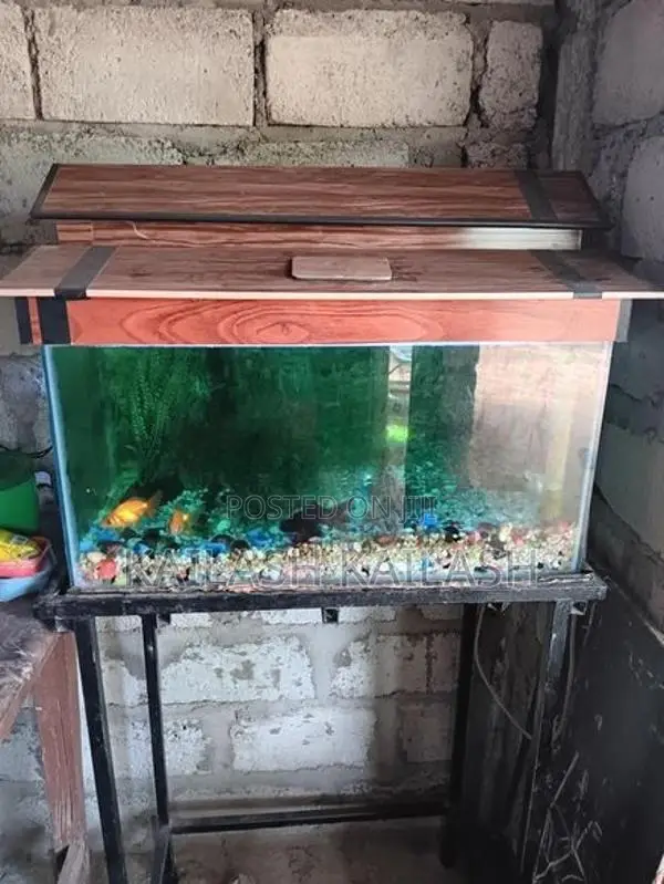 Fish Tank