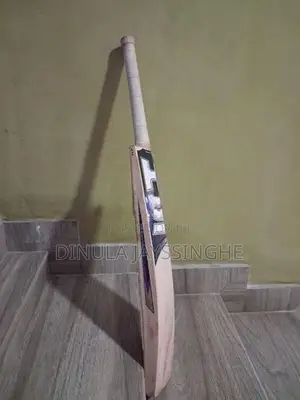 HS T20 Bat