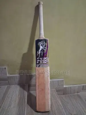 HS T20 Bat