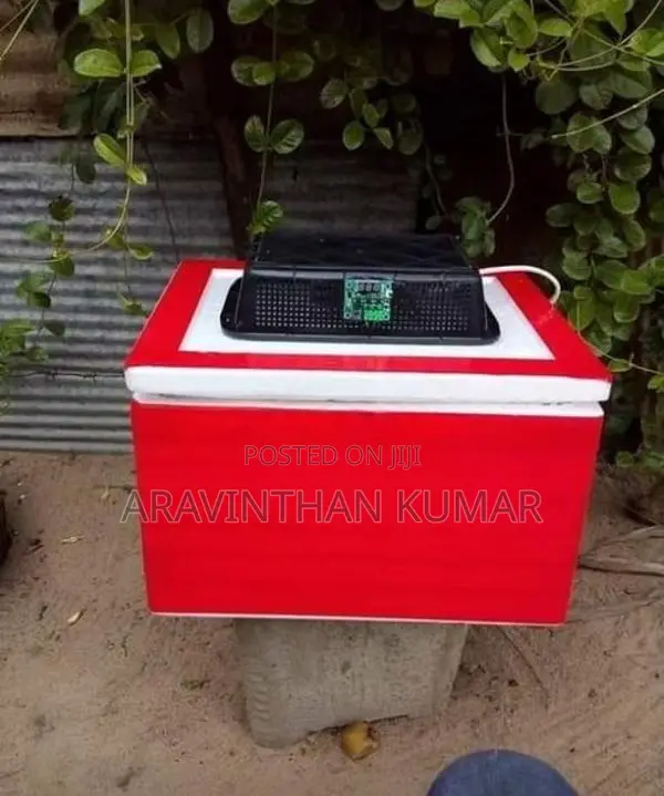 Egg Incubator