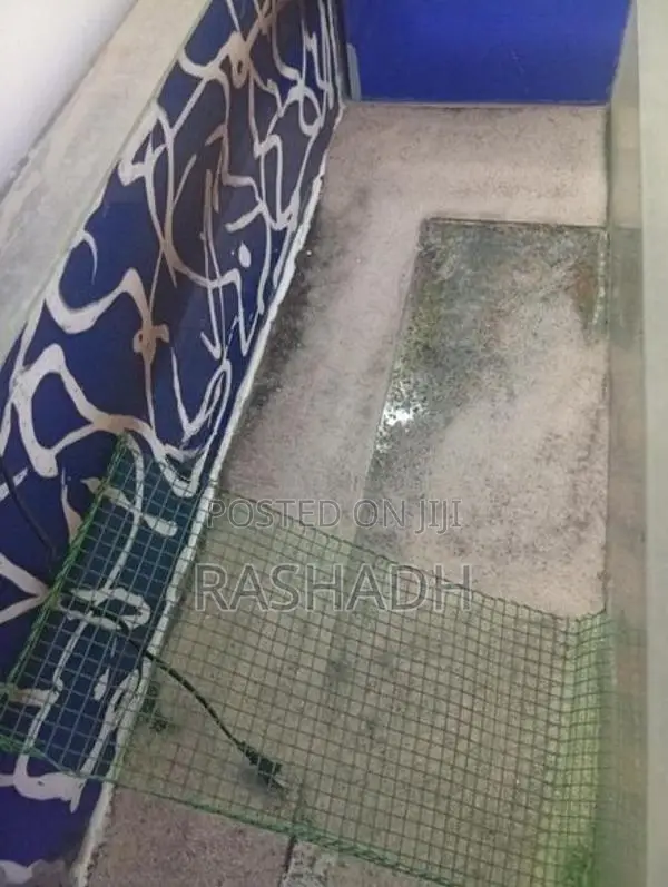 Fish Tank