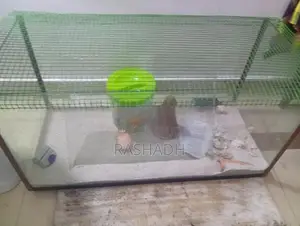 Fish Tank