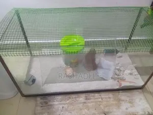 Fish Tank