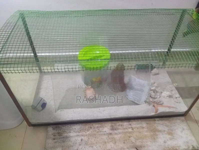 Fish Tank