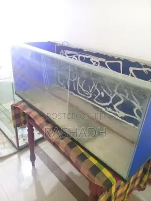 Fish Tank