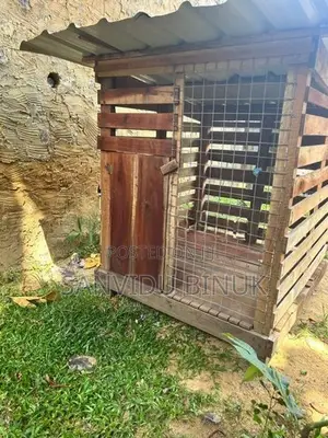 dog kennel