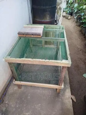 Rabbit Cage