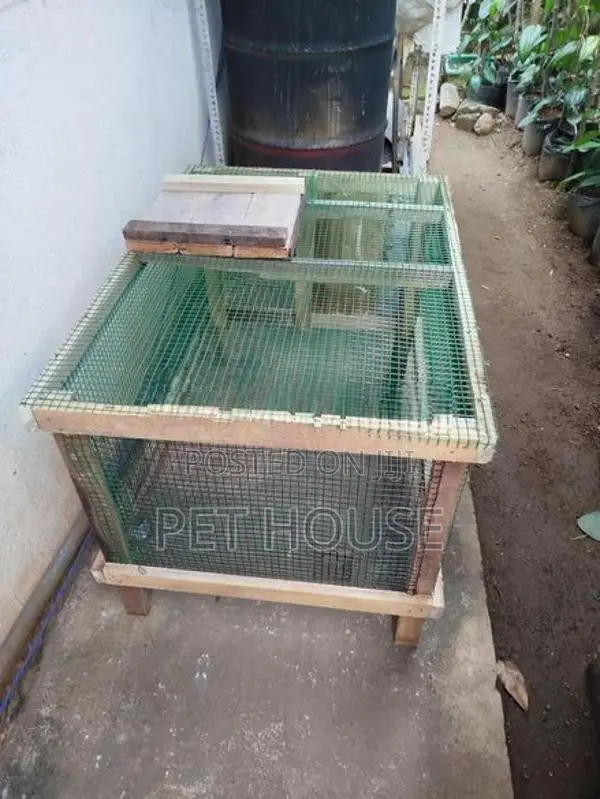 Rabbit Cage