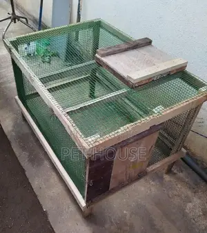 Rabbit Cage