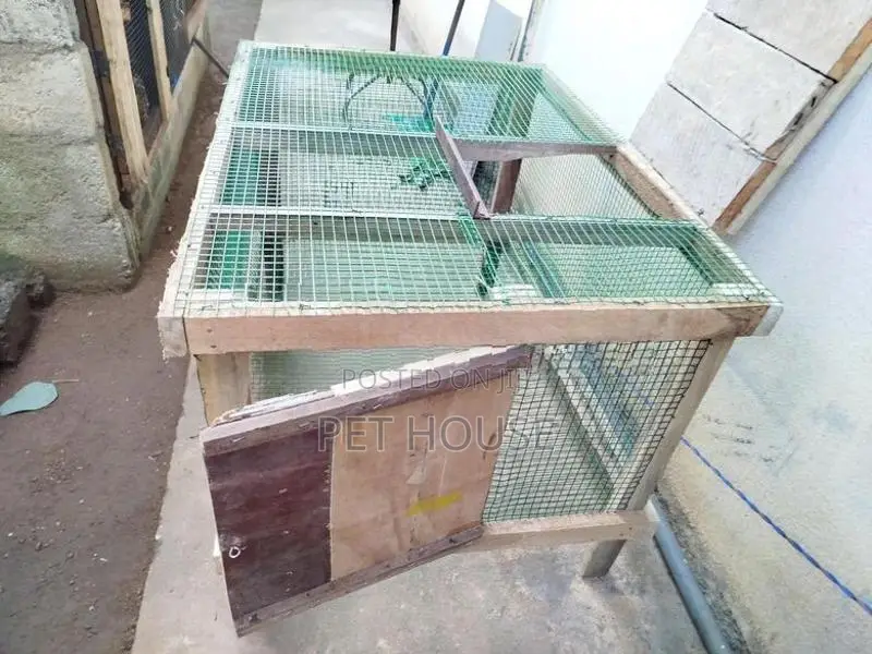 Rabbit Cage
