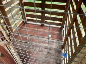 dog kennel
