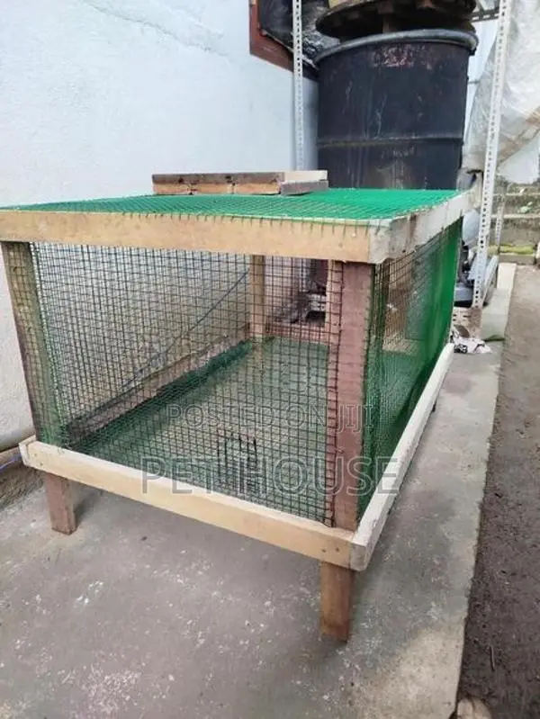 Rabbit Cage