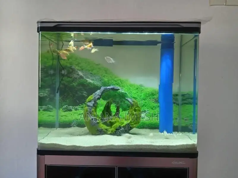 Xilong 2 Feet Aquarium XLHK-600G