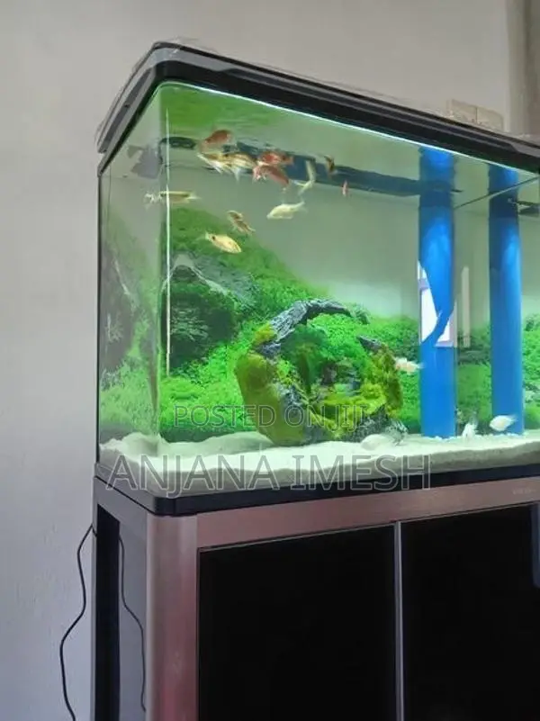 Xilong 2 Feet Aquarium XLHK-600G