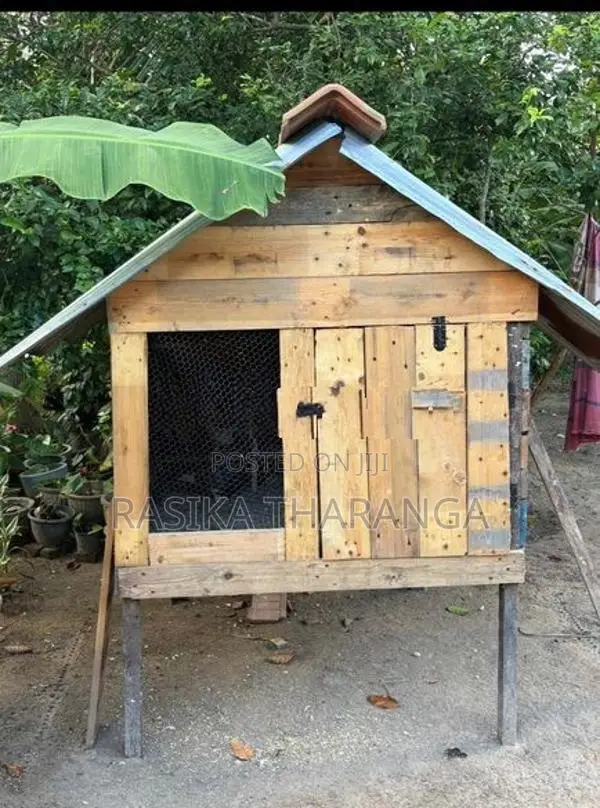 Dog Cage