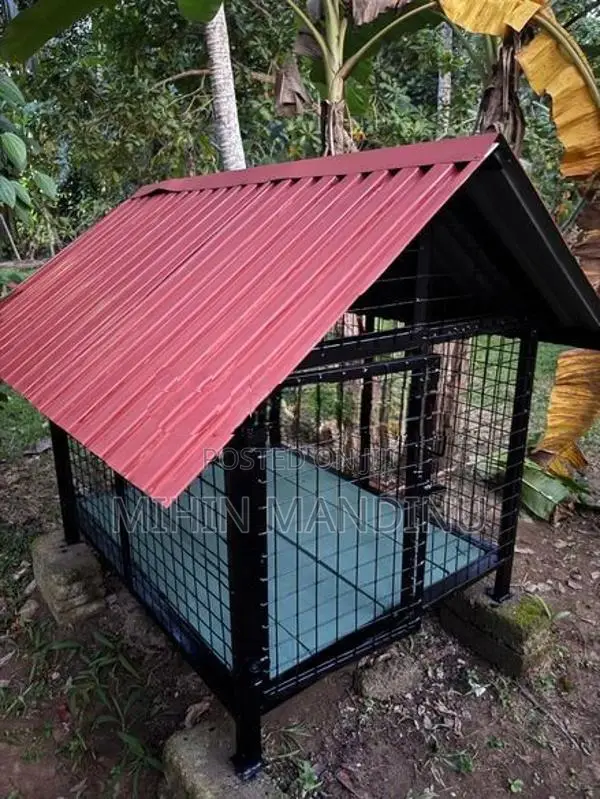 Dog Cage